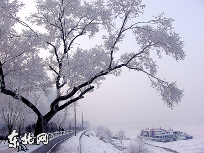 Qᦿ`?[