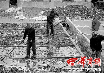 氯氣泡出雪白黑心棉 老板自曝年利潤60萬(圖)