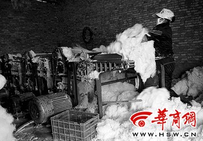 氯氣泡出雪白黑心棉 老板自曝年利潤60萬(圖)