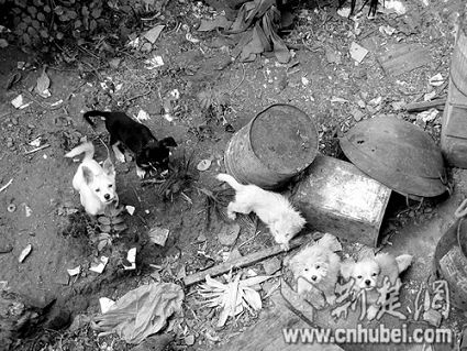 �k���D�a���i���@�s�p��