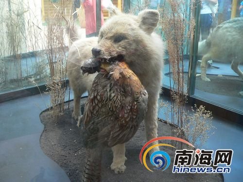 ĥ|CsGwea餺ֱeN