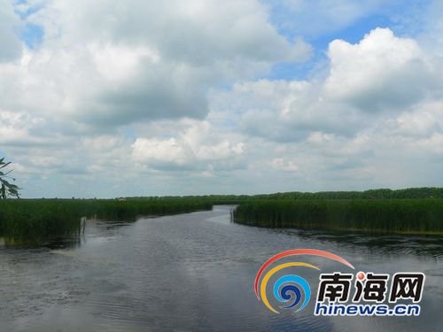 ĥ|CsGwea餺ֱeN
