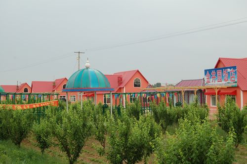KlAayO֡z