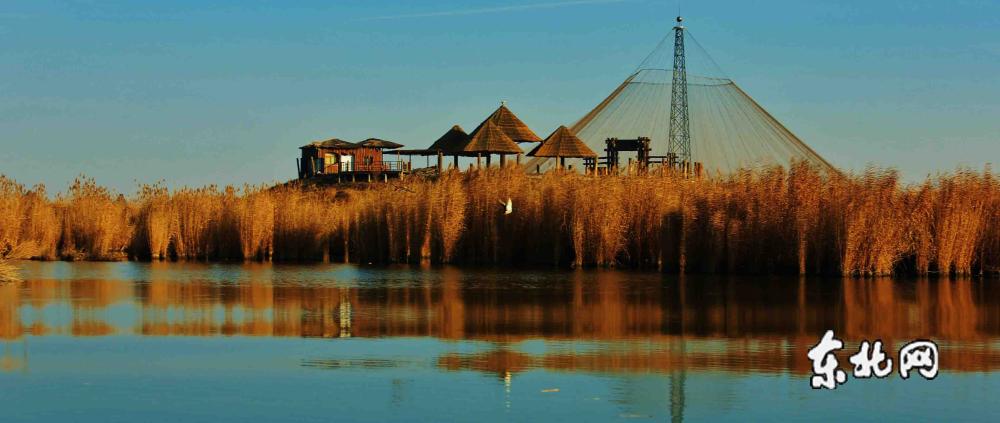 宁夏鸟岛深秋.资料片