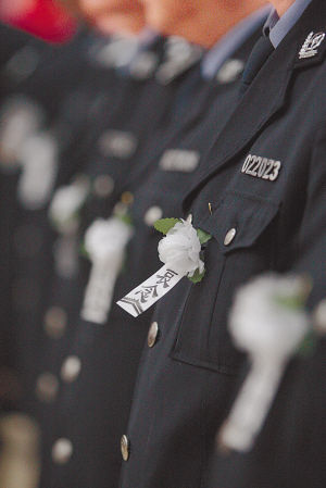 王影生命的最后15天