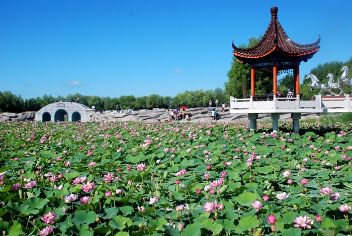 九三已拥有山河,嫩江两家3a级旅游景区,鹤山,嫩北,大西江,七星泡四