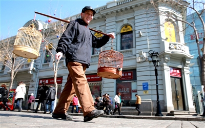 81岁潘大爷松花江边遛鸟