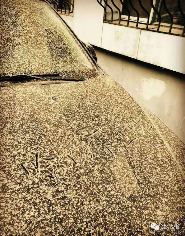 风带著雨 雨带著泥 一起去哈尔滨看看(组图)