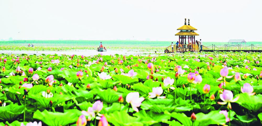 肇源莲花湖.