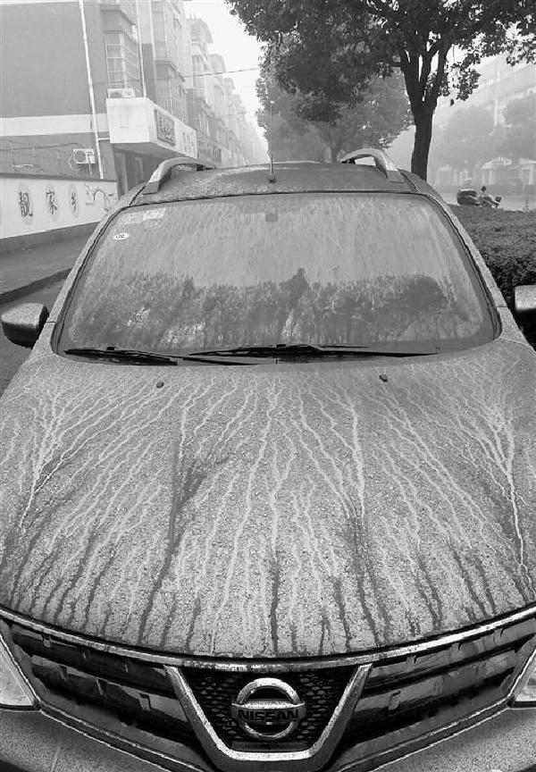 浙江萧山突降黑雨 黑雨到底怎麼来的?源头在哪里?
