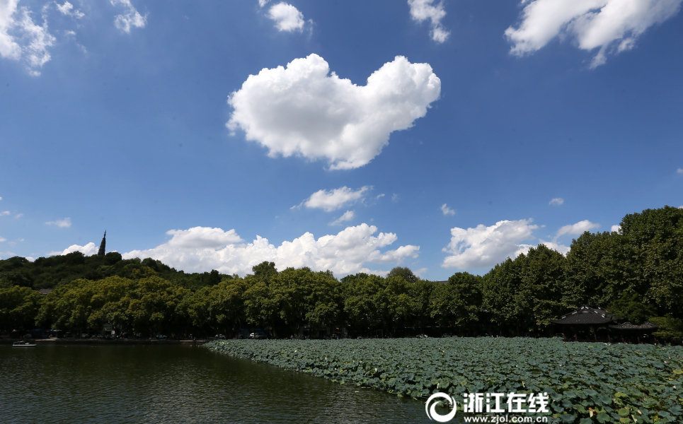 亮眼!西湖上空飘来一朵『爱心』云