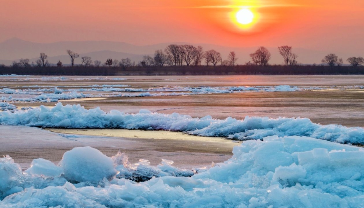 331 ��D�W�����e�Y